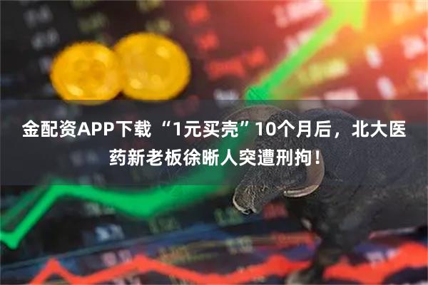 金配资APP下载 “1元买壳”10个月后,北大医药新老板徐晰人突遭刑拘!
