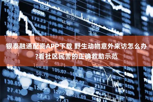 银泰融通配资APP下载 野生动物意外来访怎么办?看社区民警的正确救助示范