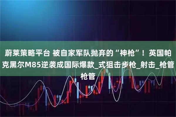 蔚莱策略平台 被自家军队抛弃的“神枪”！英国帕克黑尔M85逆袭成国际爆款_式狙击步枪_射击_枪管