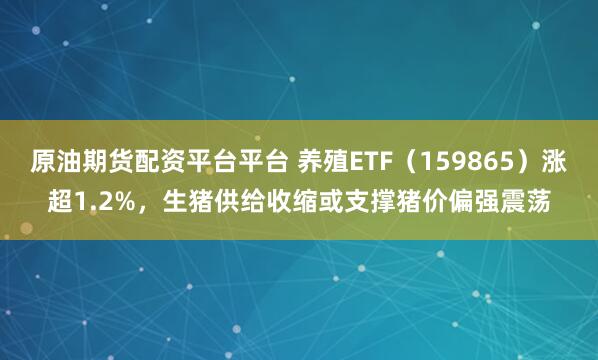 原油期货配资平台平台 养殖ETF（159865）涨超1.2%，生猪供给收缩或支撑猪价偏强震荡