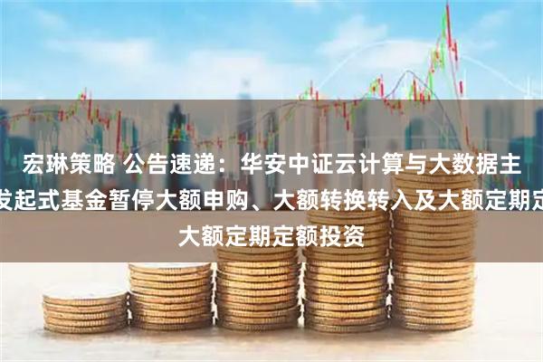 宏琳策略 公告速递：华安中证云计算与大数据主题指数发起式基金暂停大额申购、大额转换转入及大额定期定额投资