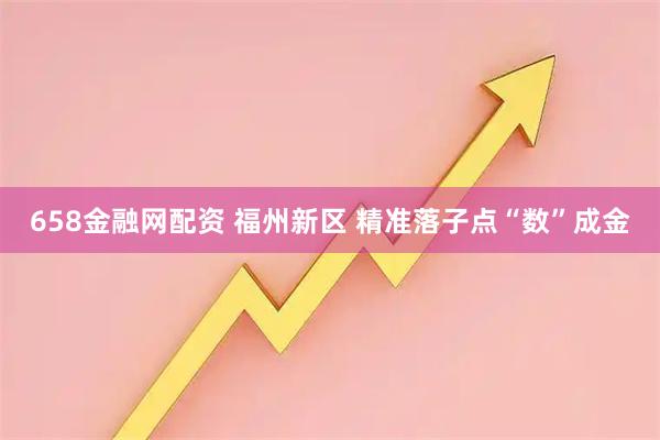 658金融网配资 福州新区 精准落子点“数”成金
