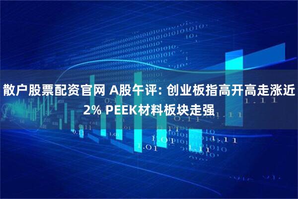 散户股票配资官网 A股午评: 创业板指高开高走涨近2% PEEK材料板块走强